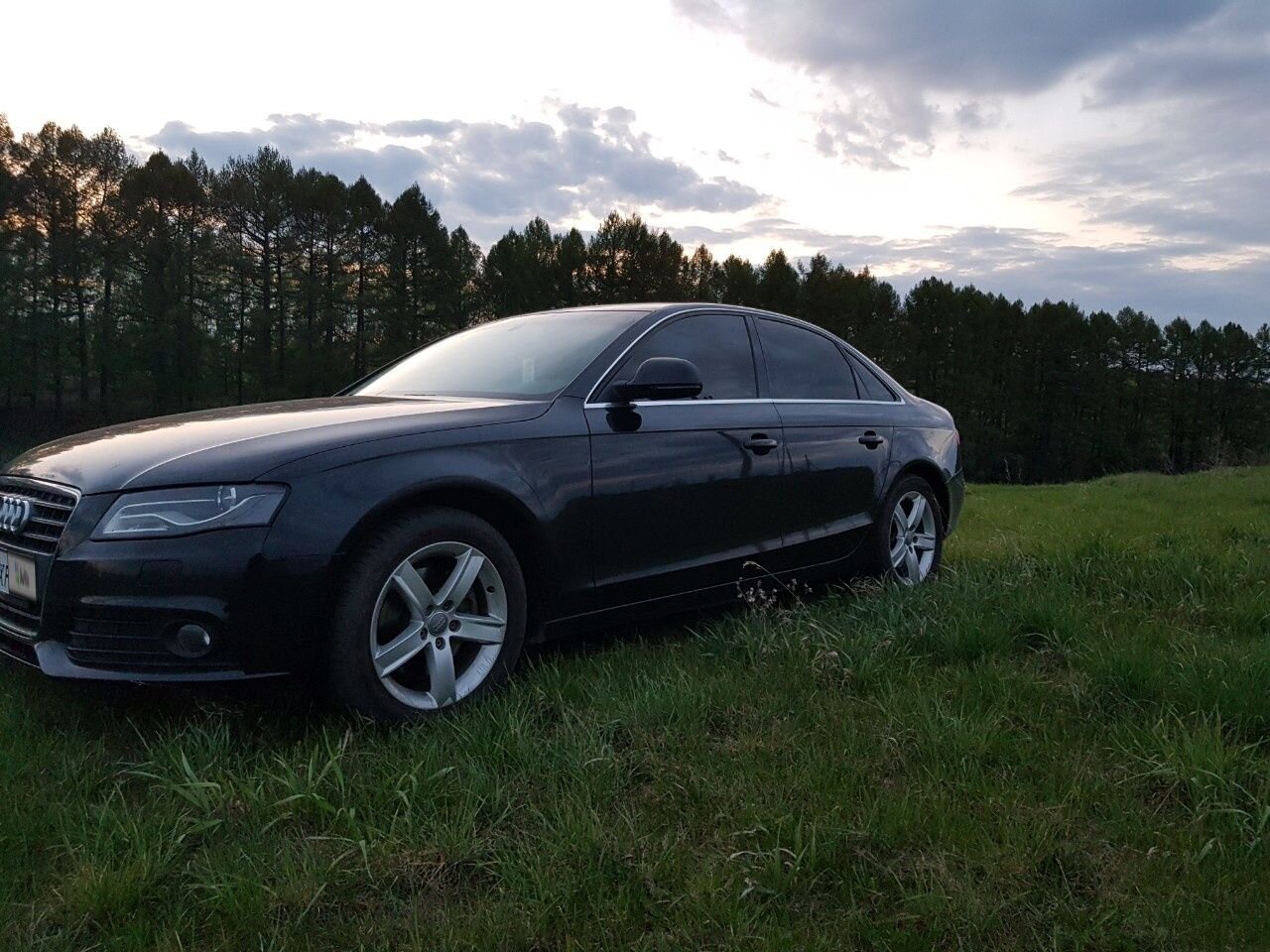 Audi A4: фото владельца