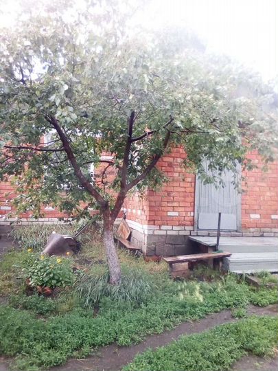 Дом 71 м² на участке 10 сот.