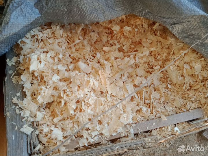 Стружка сосна