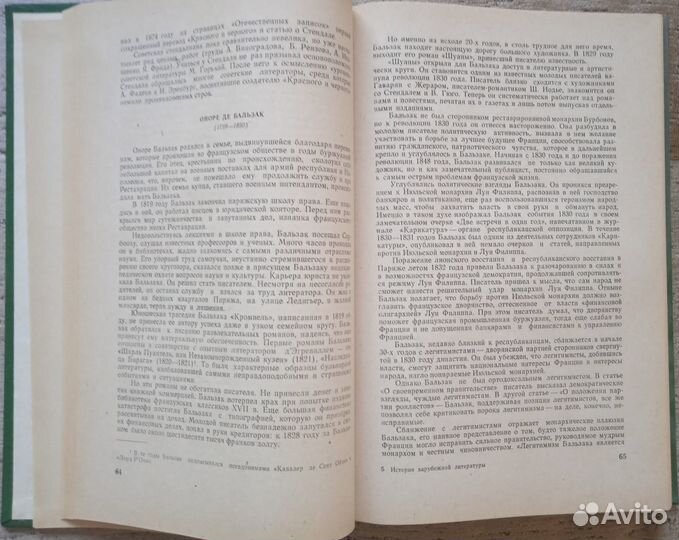 История зарубежной литературы XIX века