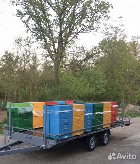 Продается пасека