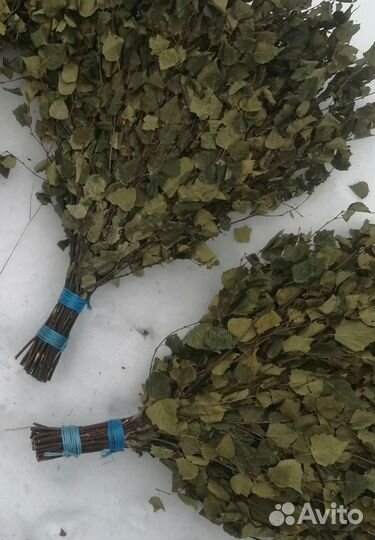 Березовые веники