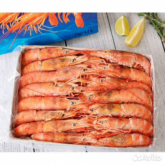 Лангустины L1 10/20