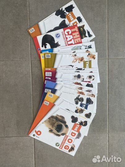 Колекция мягких щенков и котят