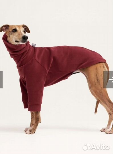 Футболка для собак