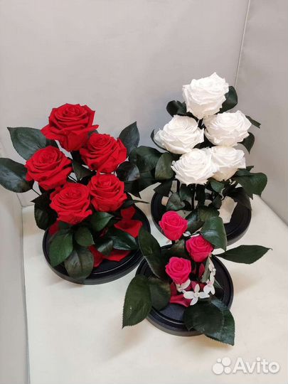 Подарок на новый год / Роза в колбе