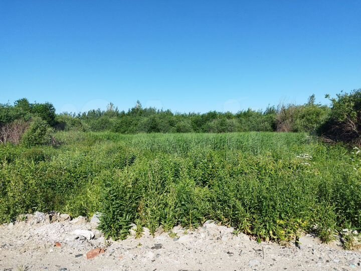 Участок 10 сот. (СНТ, ДНП)