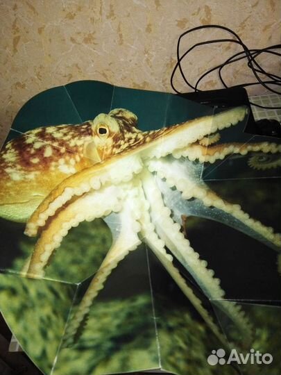 Книги детские