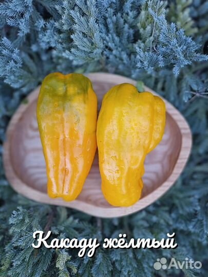 Семена коллекционных сортов сладкого перца