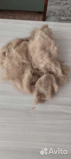 Пух собаки чау -чау