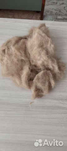 Пух собаки чау -чау