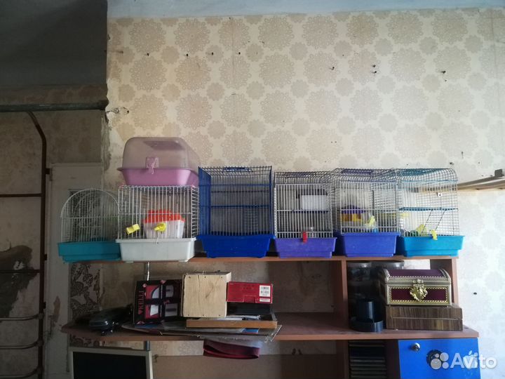 Клетки для мелких животных