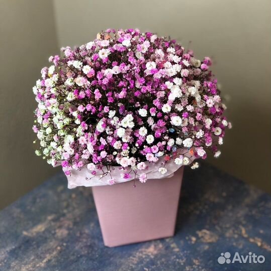 Букеты и боксы из гипсофилы Самара