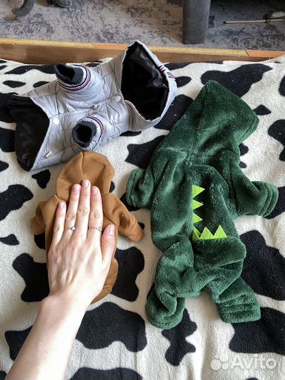 Вещи для животных