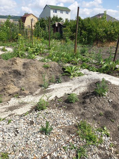 Участок 6,4 сот. (СНТ, ДНП)