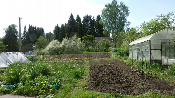 Дом 40 м² на участке 22 сот.