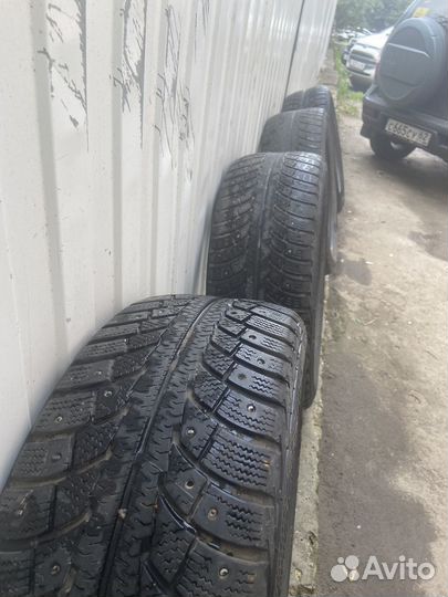 Gislaved Nord Frost 5 205/55 R16