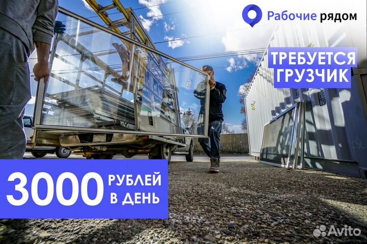 Грузчик ежедневные выплаты