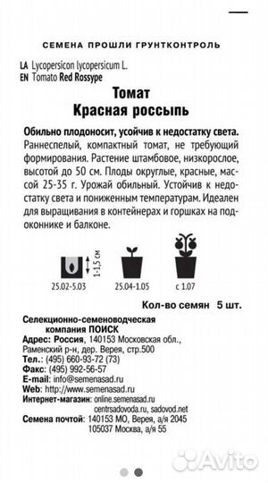 Рассада помидор