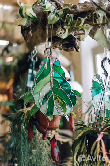 Витражный лист фикус Лирата