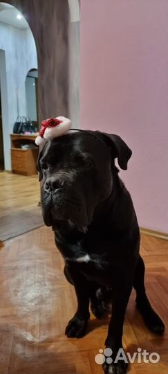 Вязка