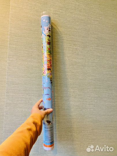 Учебники много 5 и 6 класс математика русский