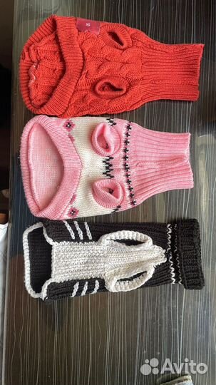 Одежда для сфинкса котят и собак