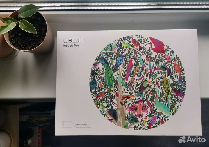 Wacom Intuos Pro M (medium)