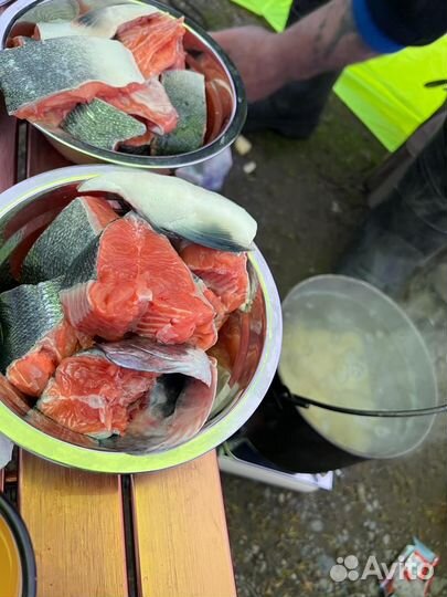 Рыбалка на Камчатке