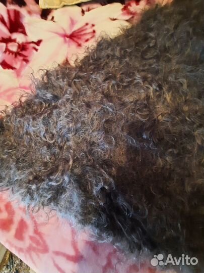 Платок пуховы