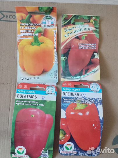 Рассада помидор и перцев