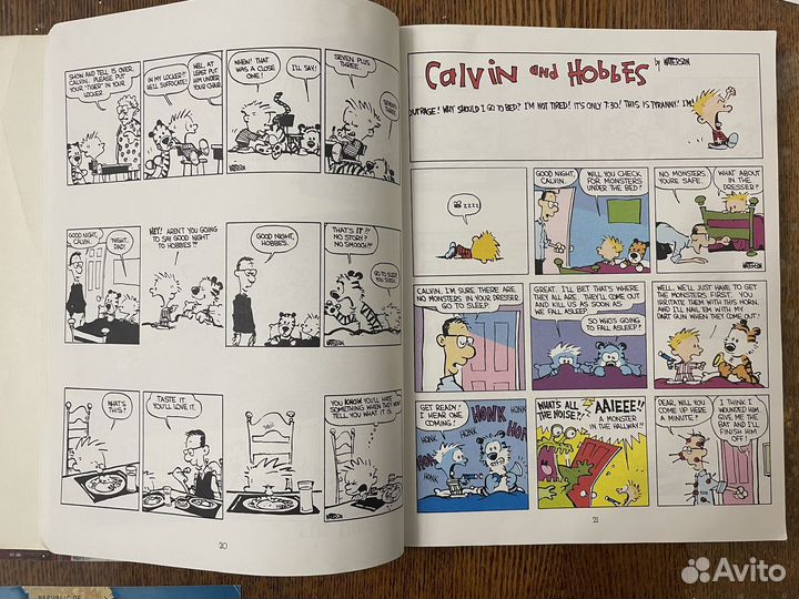 The Essential Calvin and Hobbes by Bill Watterson