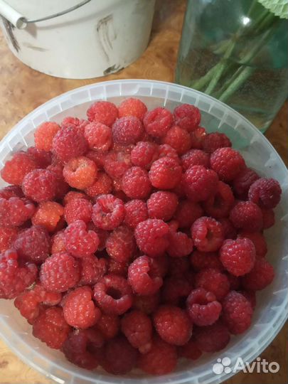 Малина, смородина