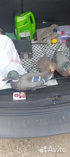 Подсадные пластиковые утки для охоты