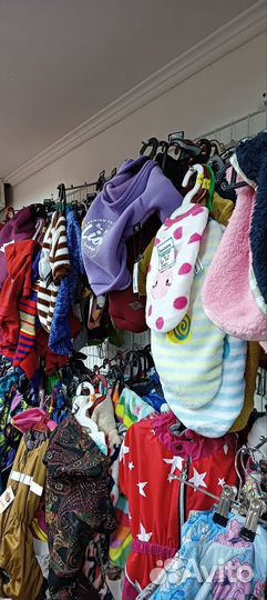 Одежда для собак