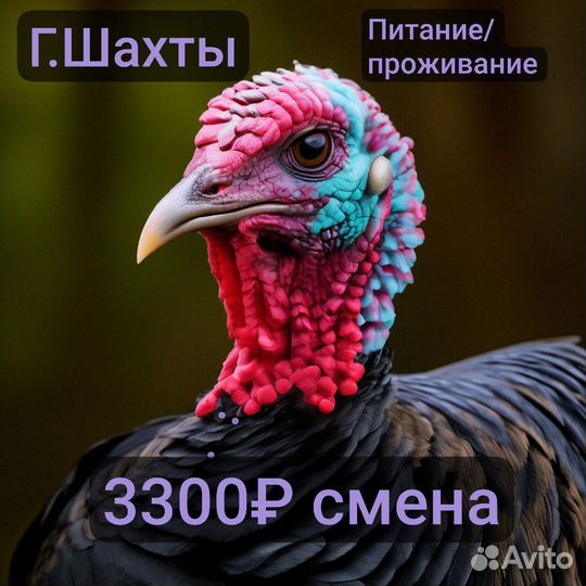 Упаковщики на птицефабрику. Вахта в Ростовской обл