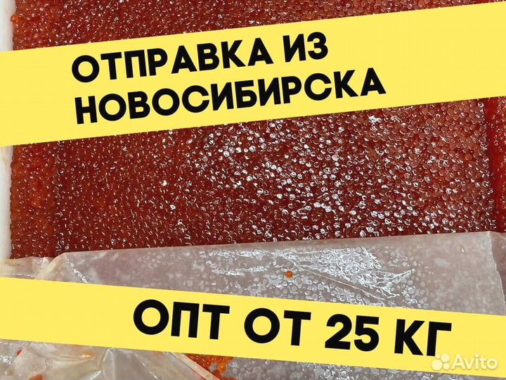 Икра нерки красная, улов 2023