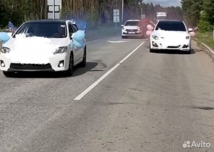 Цветной дым для гендер пати