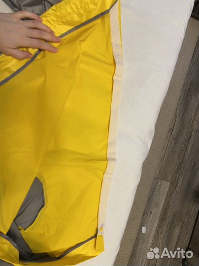 Одежда для собак