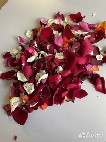 Лепестки роз