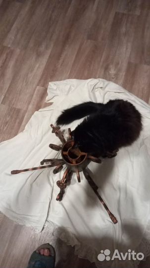 Подставка для елки