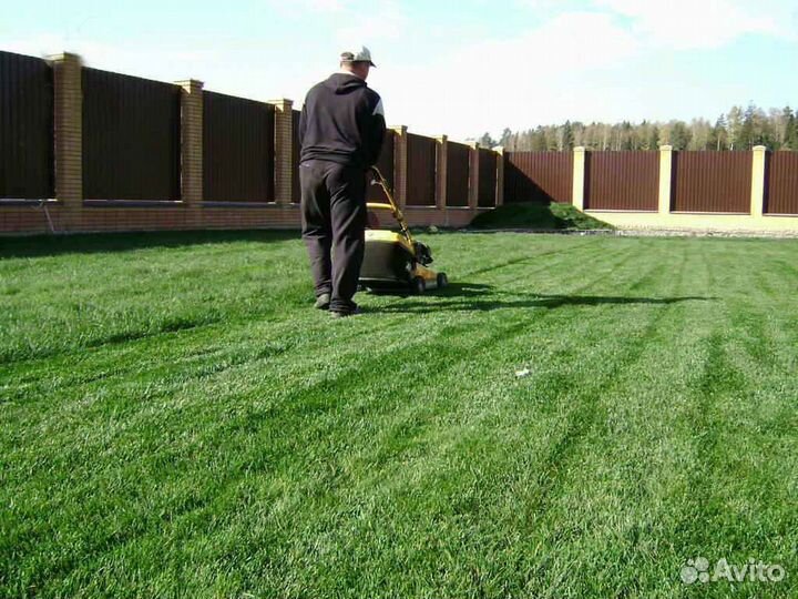 Рулонный газон от производителя