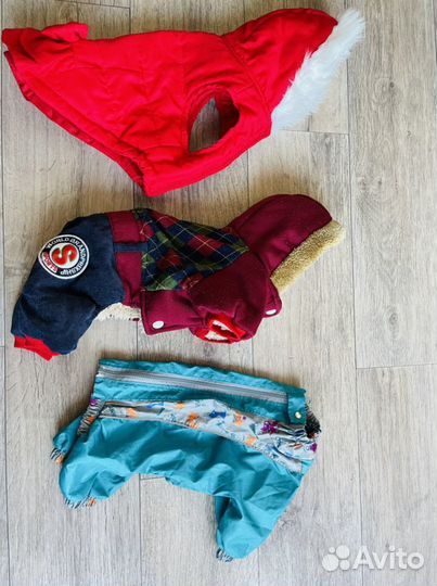 Одежда для собак