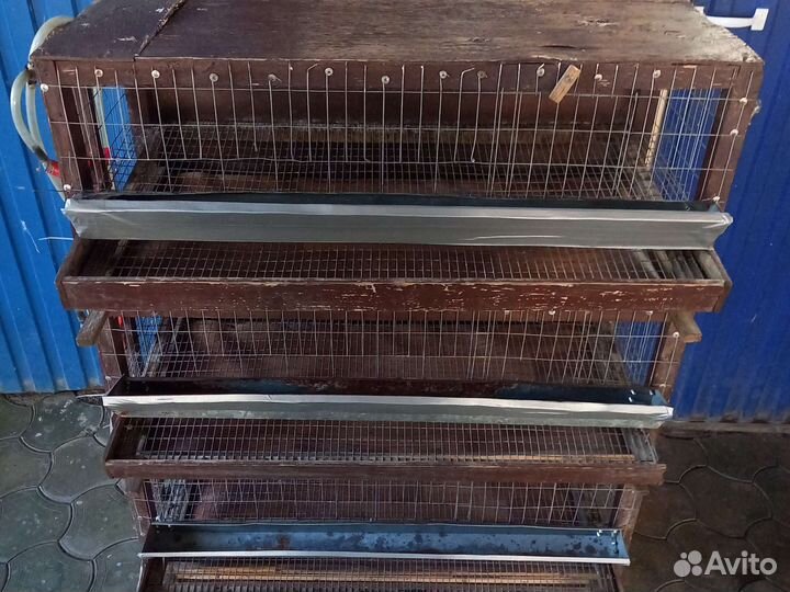 Клетки для перепелов бу