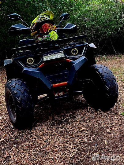 Avantis Hunter 200 new lux