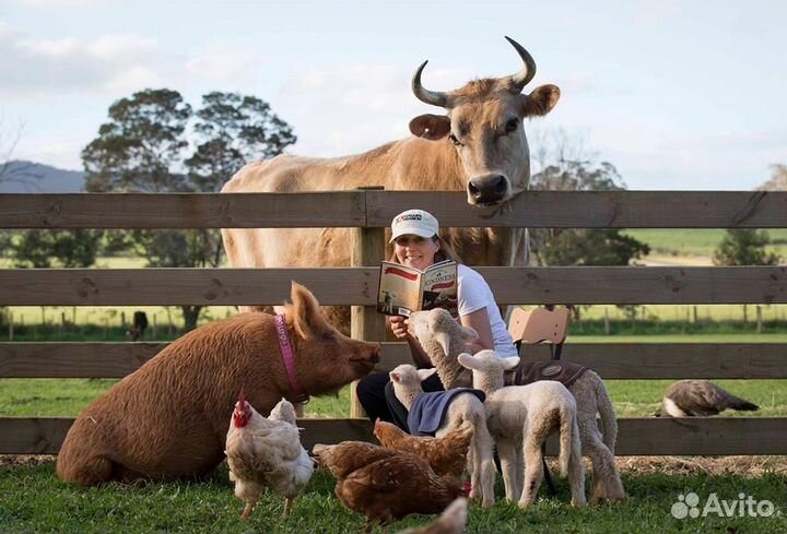 Разнорабочий на ферму