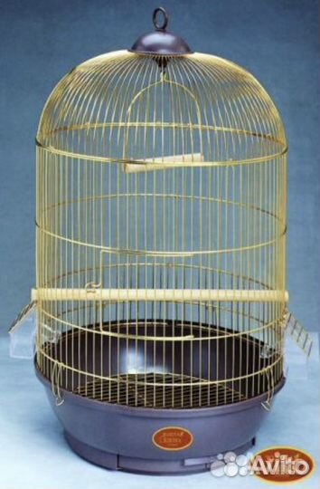 Попугай корелла с клеткой