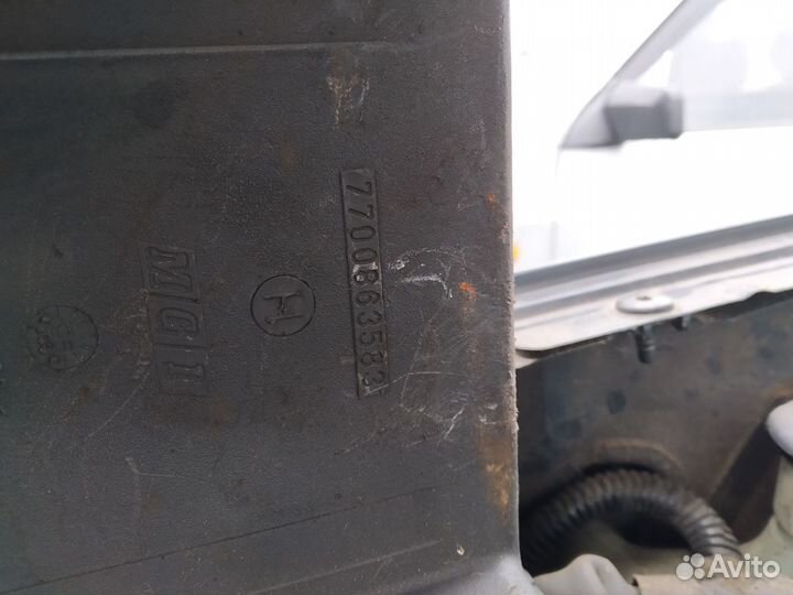 Мозги эбу Рено Сафран Шафран