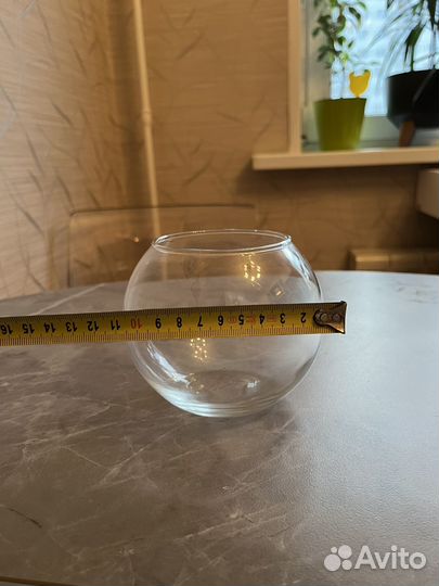 Флорариум новый