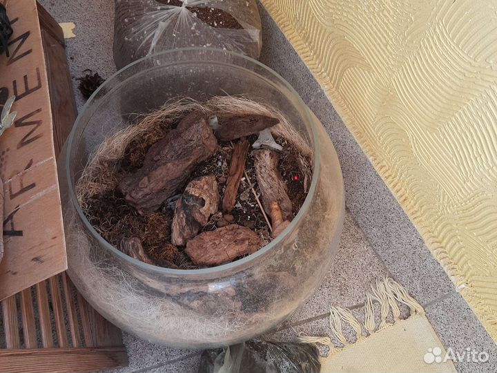 Аквариум флорариум 10 л